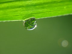 ʪӦóʲôʳأ