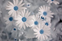 Ƥƽʱ̫