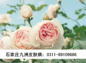 ŮԼʪ಻ҪǮ?