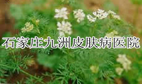 ݡӦҩ? 