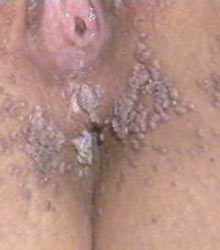 ʪ֮