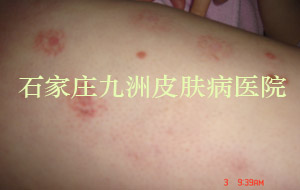 ţƤѢһδ̼˺?