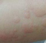 ݡܹ?