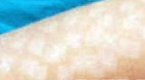 ͯ˰