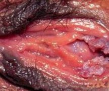 Ԥʪ໥Ⱦ?