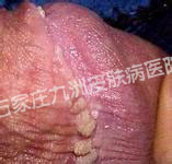 ʪЩhpv?