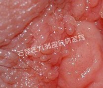 ʪ໼ڼ?