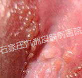 ʪ໼ǿԲߵֿ?