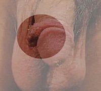 ԼʪӦλ⴫Ⱦ?