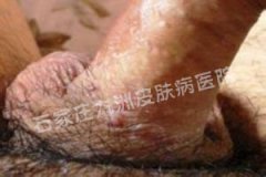 ԸȾʪǮ?