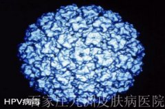 ʪǱܹhpv?