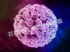 ʪ֢״hpv?