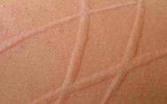 ٴЩҩƤϳݡ?