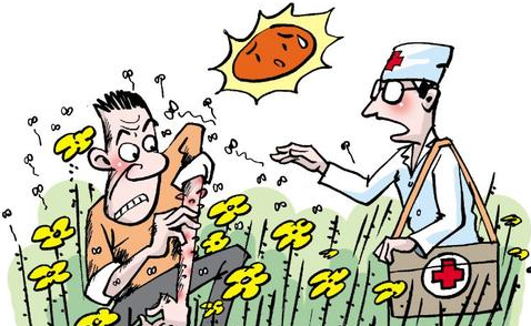 日光性皮炎是对阳光过敏吗?